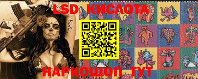 молекула духа Шахты