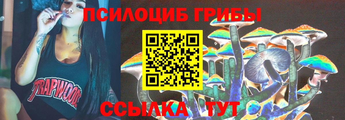Псилоцибиновые грибы Psilocybine cubensis Борисоглебск